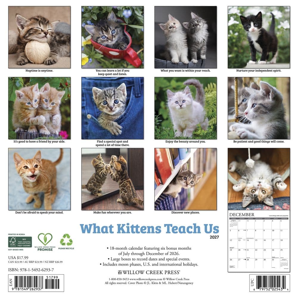 What Kittens Teach Us 2027 Wall Calendar First Alternate Image