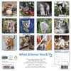 image What Kittens Teach Us 2027 Wall Calendar First Alternate Image