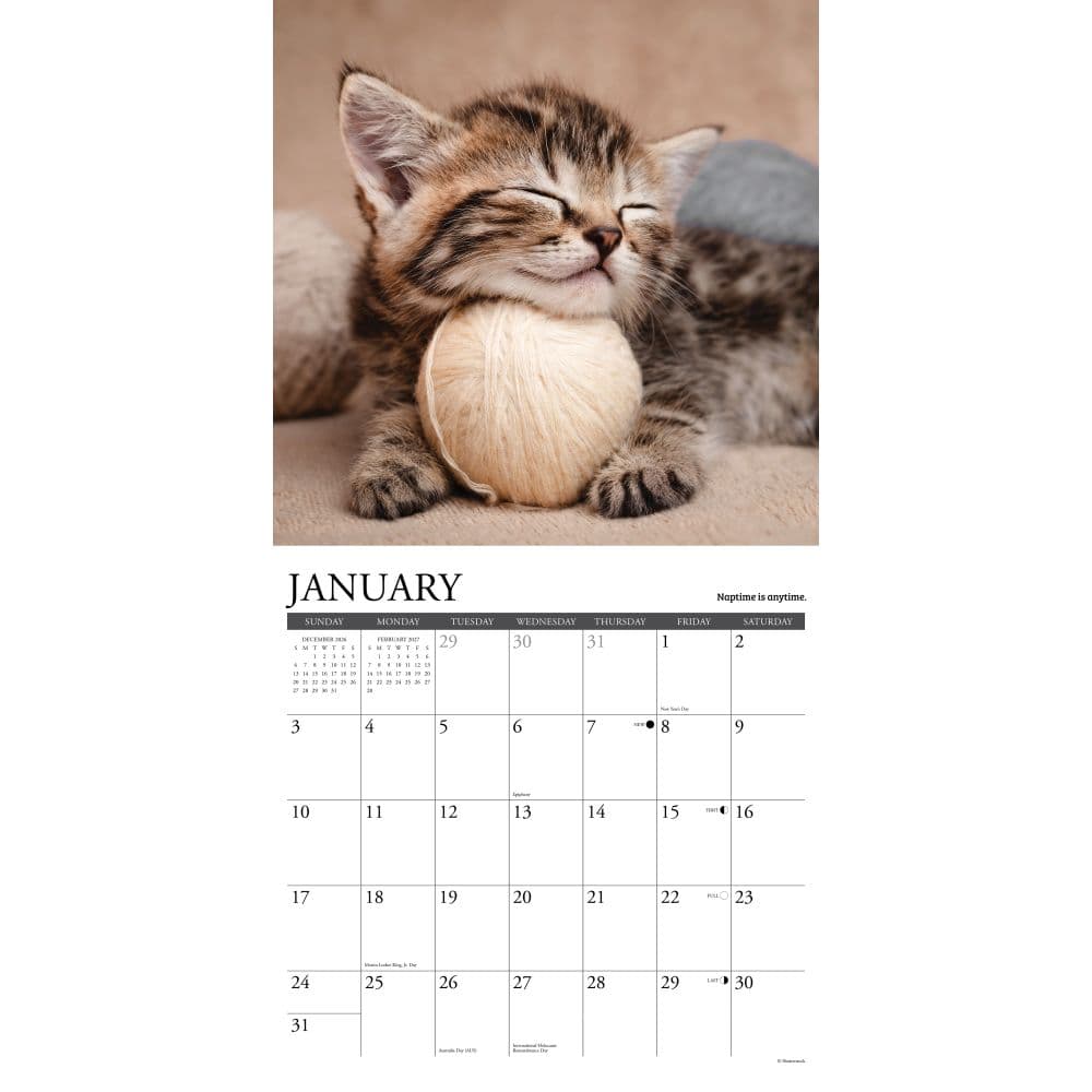 What Kittens Teach Us 2027 Wall Calendar Second Alternate Image