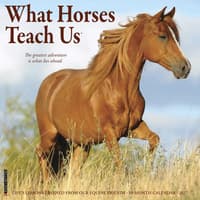 image What Horses Teach Us 2027 Wall Calendar Main Product Image