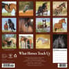 image What Horses Teach Us 2027 Wall Calendar First Alternate Image