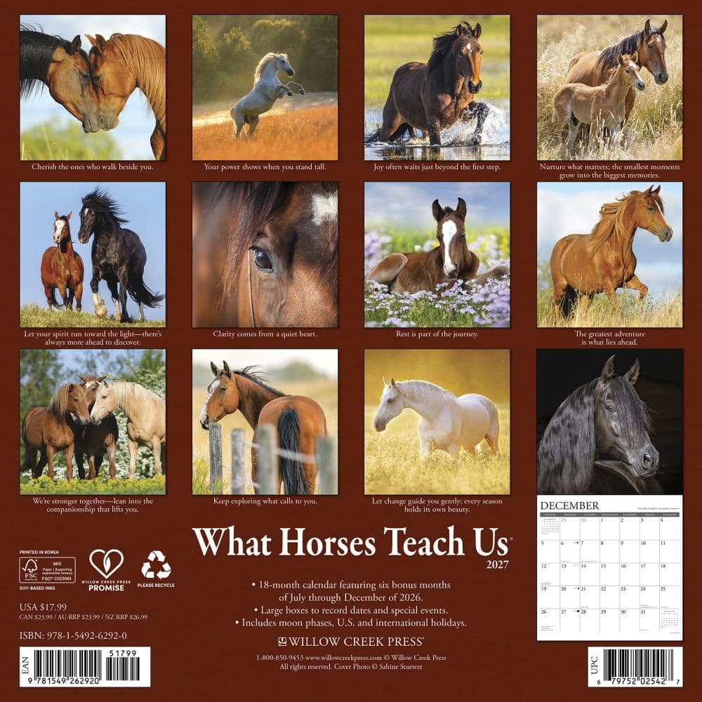 What Horses Teach Us 2027 Wall Calendar First Alternate Image