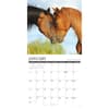 image What Horses Teach Us 2027 Wall Calendar Second Alternate Image