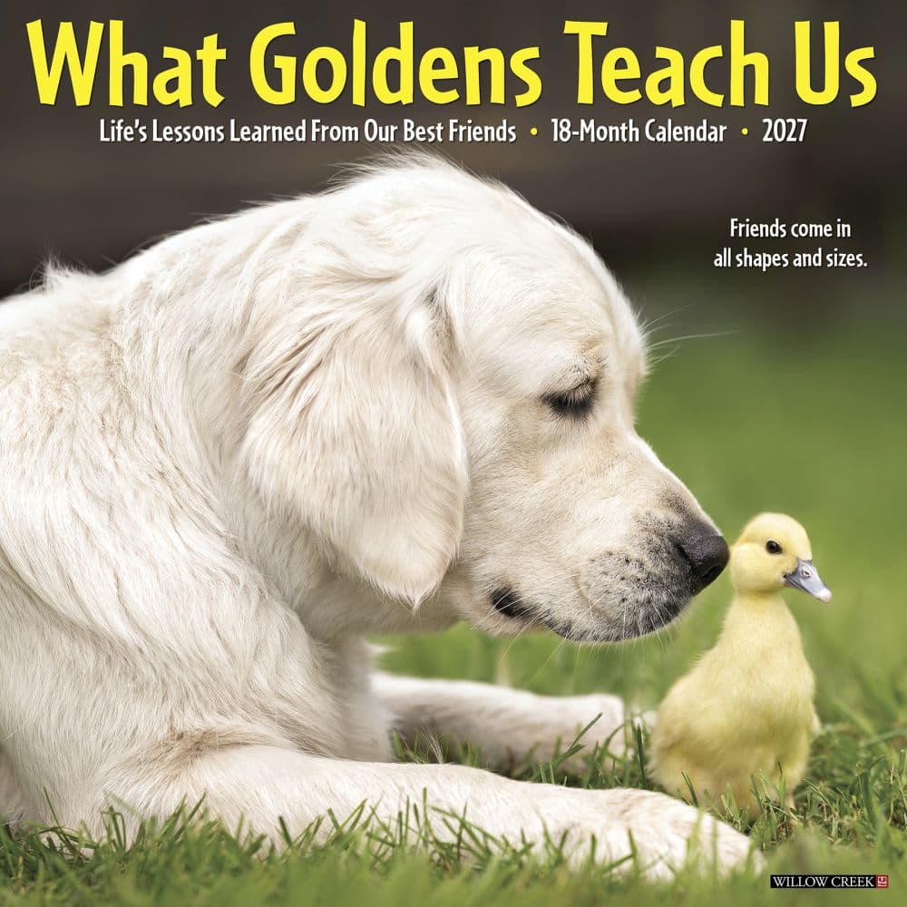 image What Goldens Teach Us 2027 Wall Calendar Main Product Image