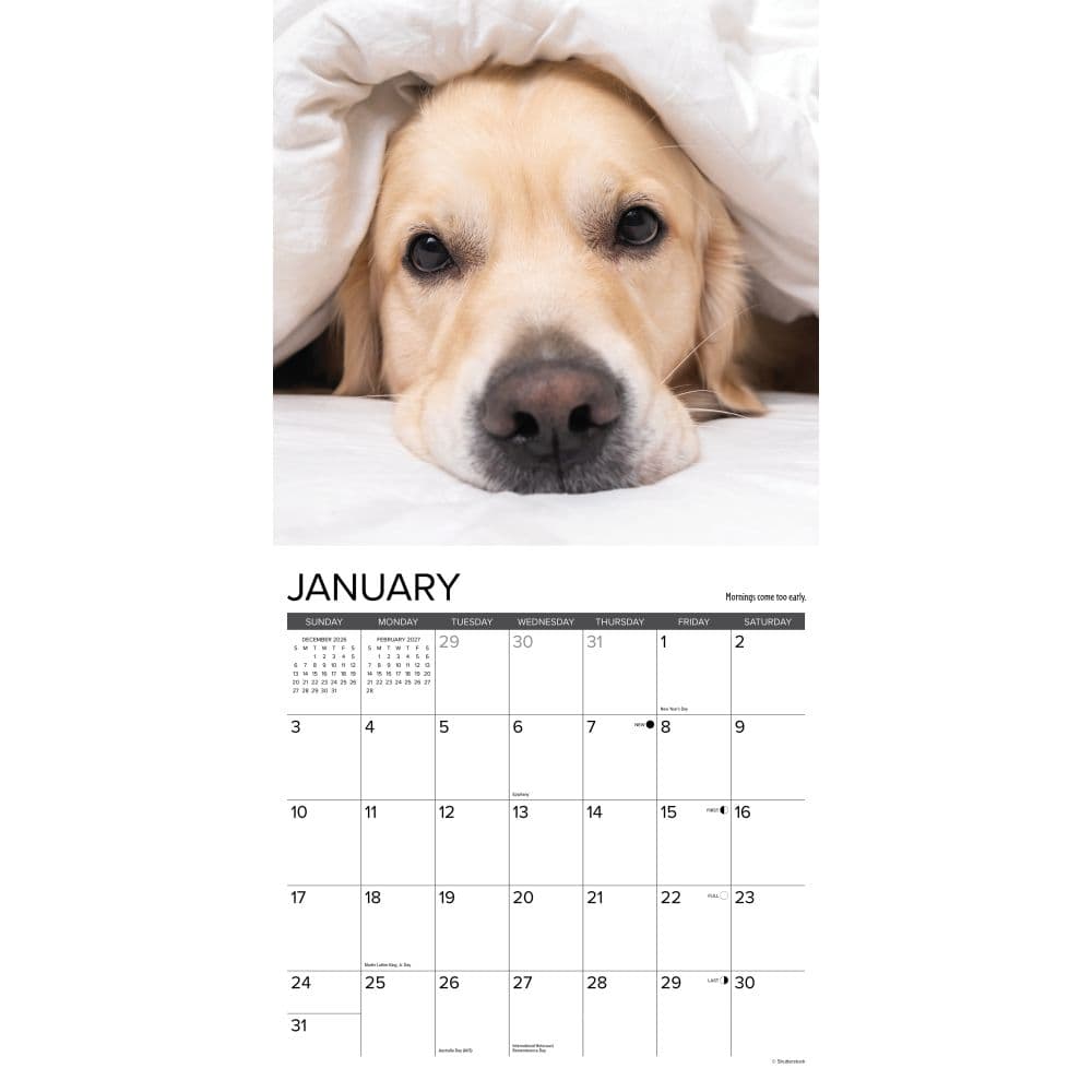 What Goldens Teach Us 2027 Wall Calendar Second Alternate Image