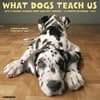 image What Dogs Teach Us 2027 Wall Calendar Main Product Image
