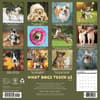 image What Dogs Teach Us 2027 Wall Calendar First Alternate Image