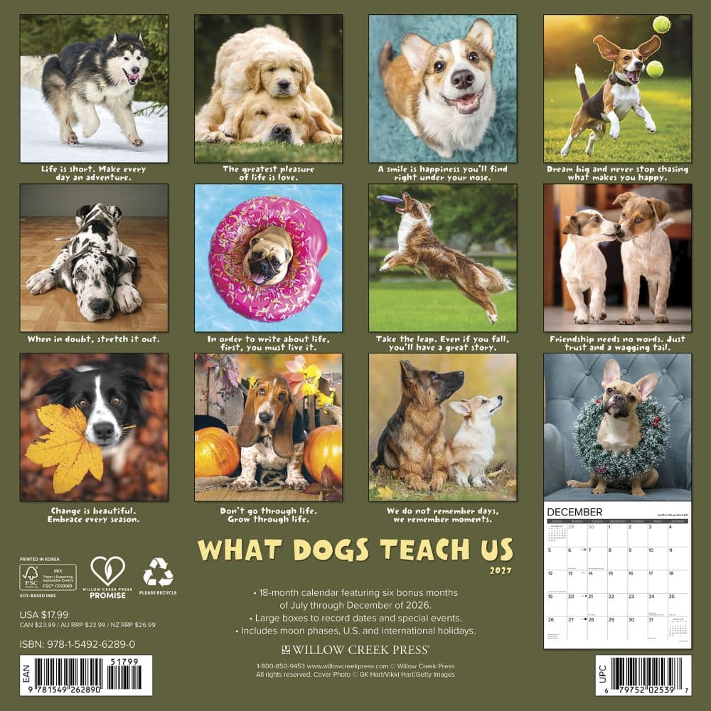 What Dogs Teach Us 2027 Wall Calendar First Alternate Image