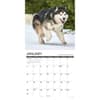 image What Dogs Teach Us 2027 Wall Calendar Second Alternate Image