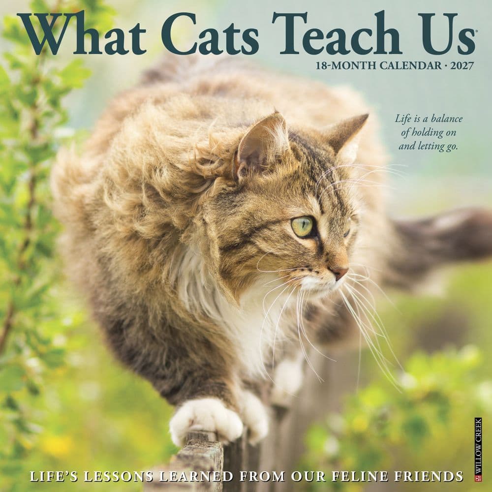 What Cats Teach Us 2027 Wall Calendar Main Product Image