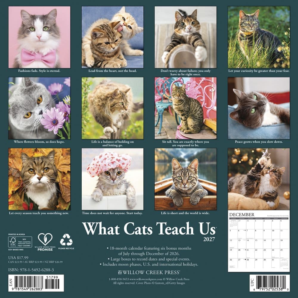 What Cats Teach Us 2027 Wall Calendar First Alternate Image