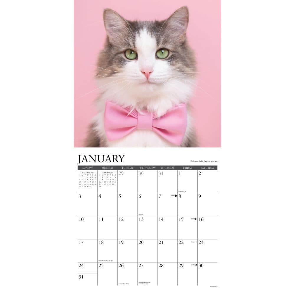 What Cats Teach Us 2027 Wall Calendar Second Alternate Image