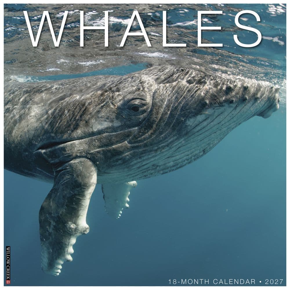 Whales 2027 Wall Calendar Main Product Image