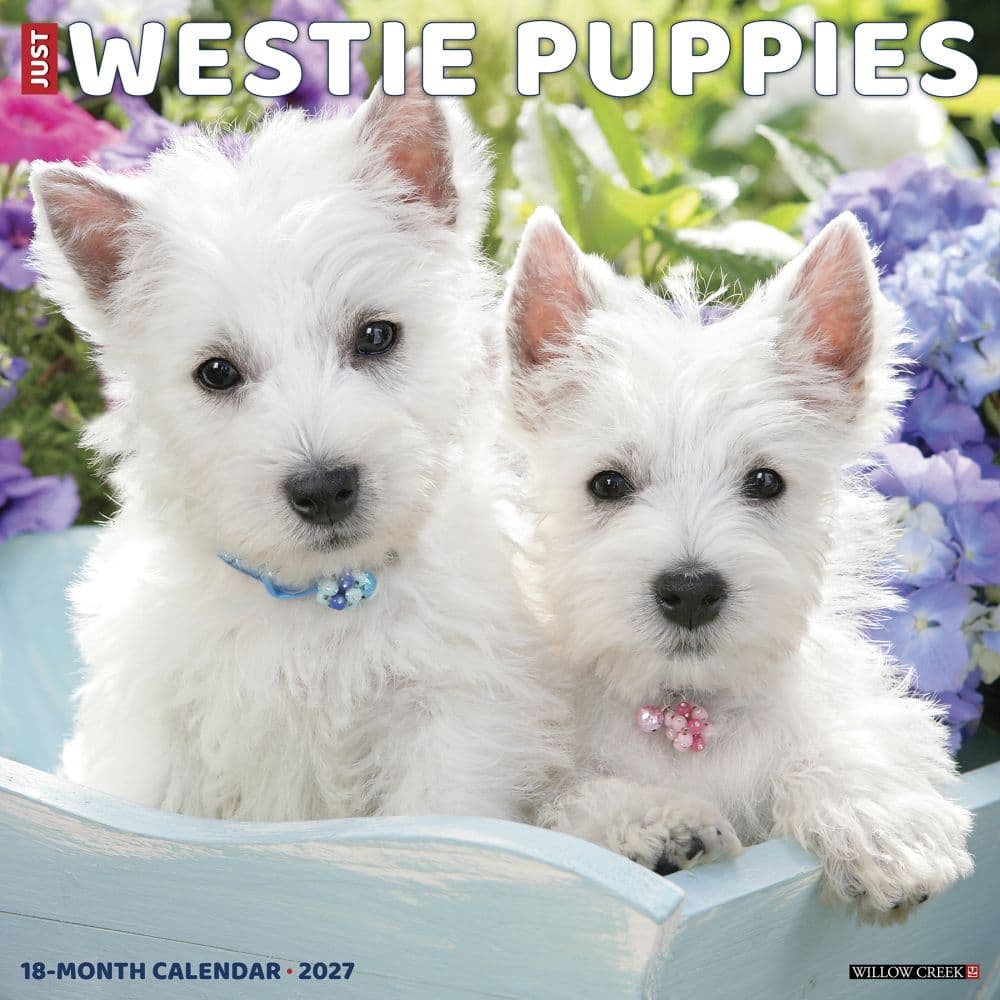 Just Westie Puppies 2027 Wall Calendar Main Product Image