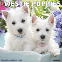 image Just Westie Puppies 2027 Wall Calendar Main Product Image