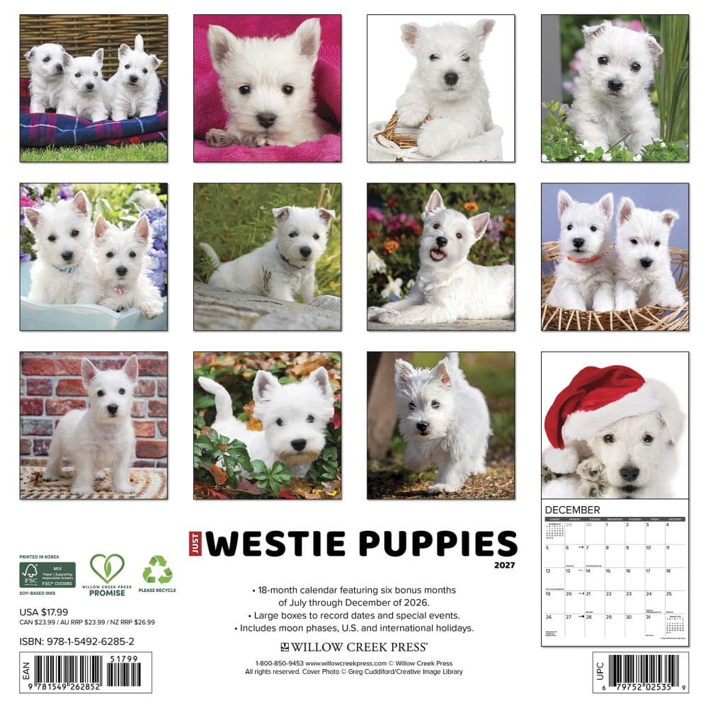 Just Westie Puppies 2027 Wall Calendar First Alternate Image