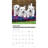 image Just Westie Puppies 2027 Wall Calendar Second Alternate Image