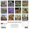 image Just Weimaraners 2027 Wall Calendar First Alternate Image