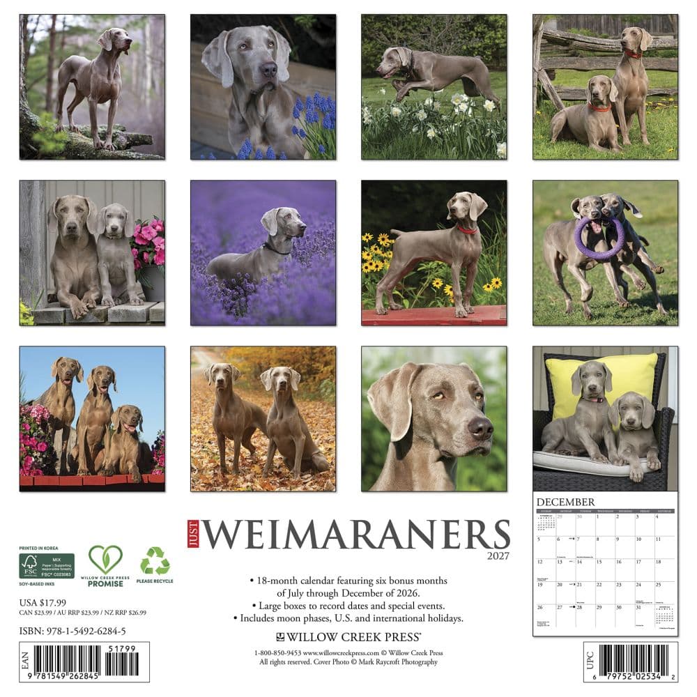 Just Weimaraners 2027 Wall Calendar First Alternate Image