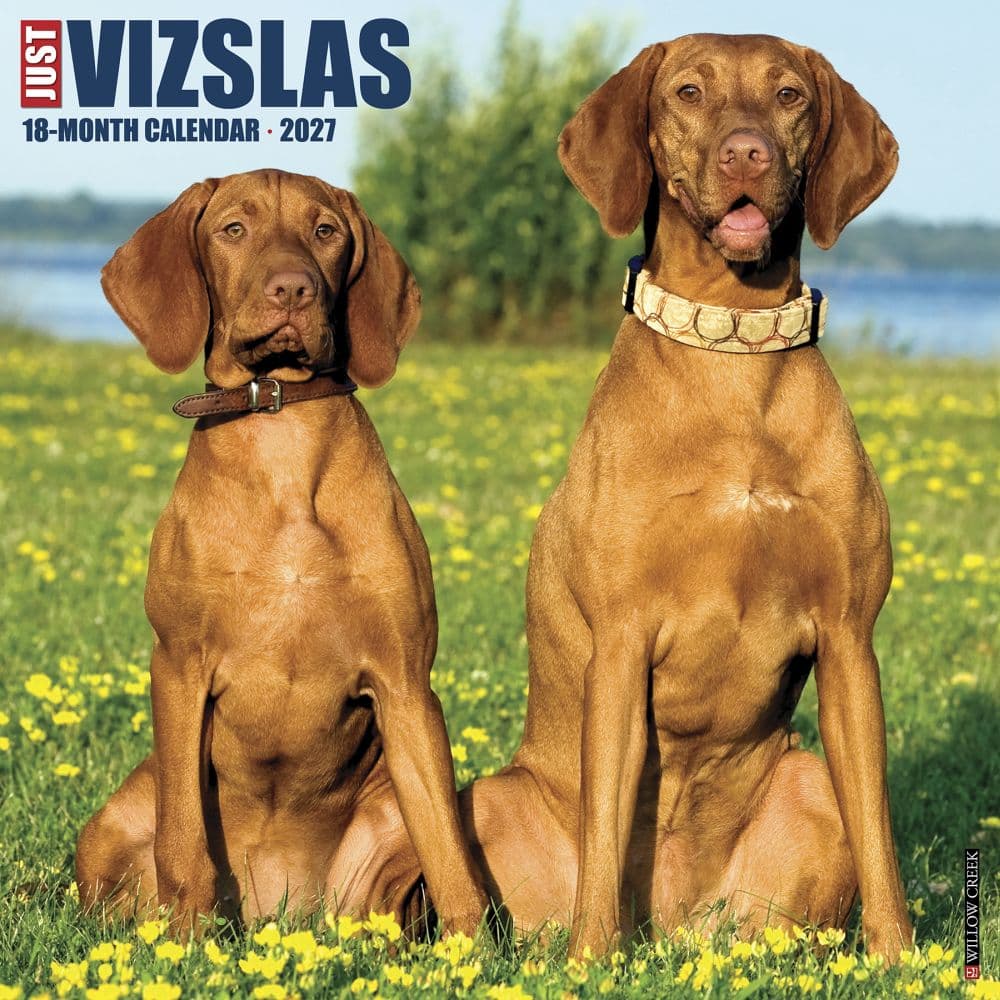 Just Vizslas 2027 Wall Calendar Main Product Image