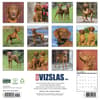 image Just Vizslas 2027 Wall Calendar First Alternate Image