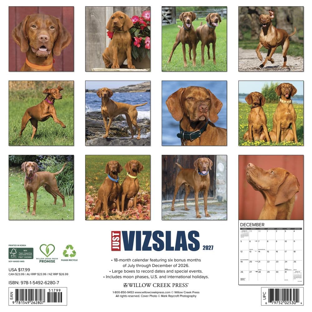 Just Vizslas 2027 Wall Calendar First Alternate Image