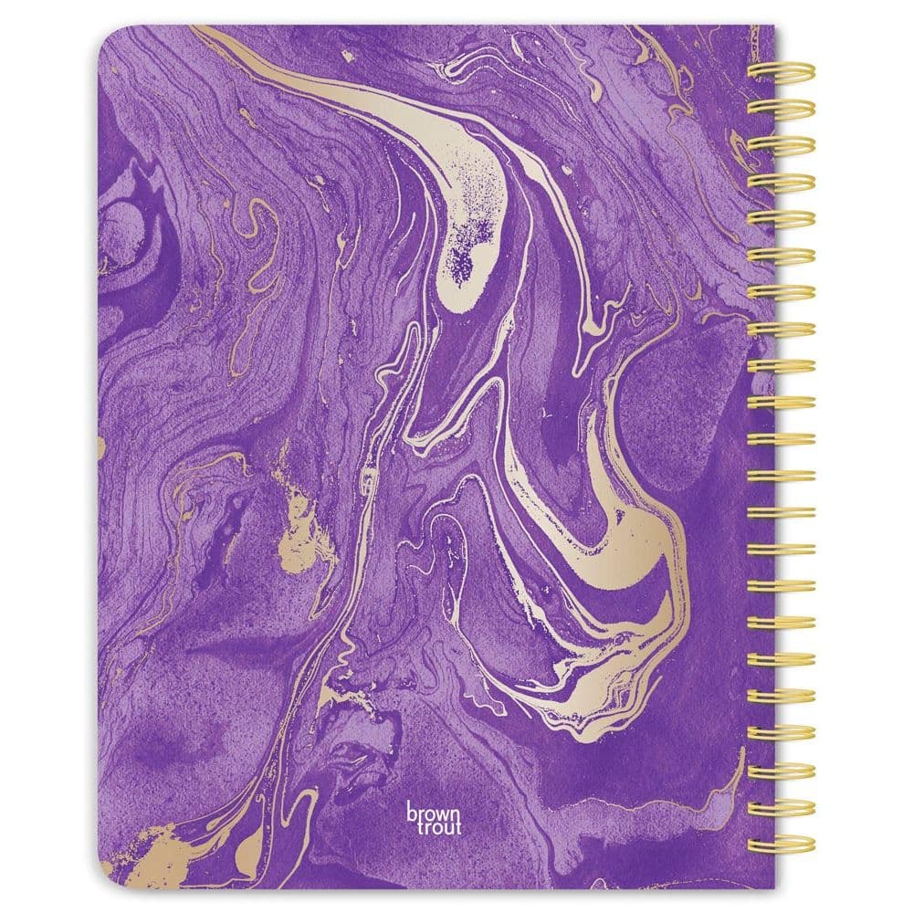 Crackled Blush Foil 2027 Planner First Alternate Image