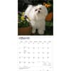 image Maltese 2027 Wall Calendar Second Alternate Image