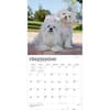 image Maltese 2027 Wall Calendar Third Alternate Image