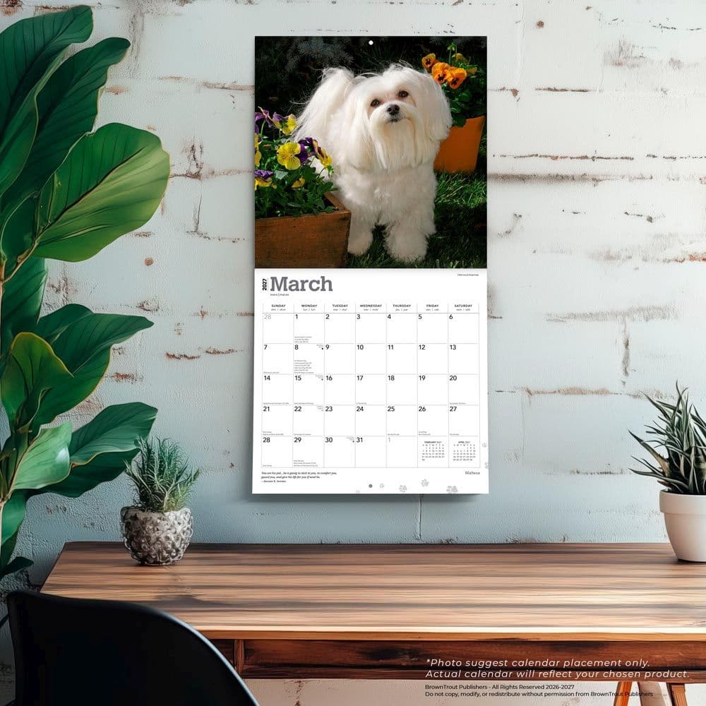 Maltese 2027 Wall Calendar Fourth Alternate Image