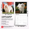 image Maltese 2027 Wall Calendar Sixth Alternate Image