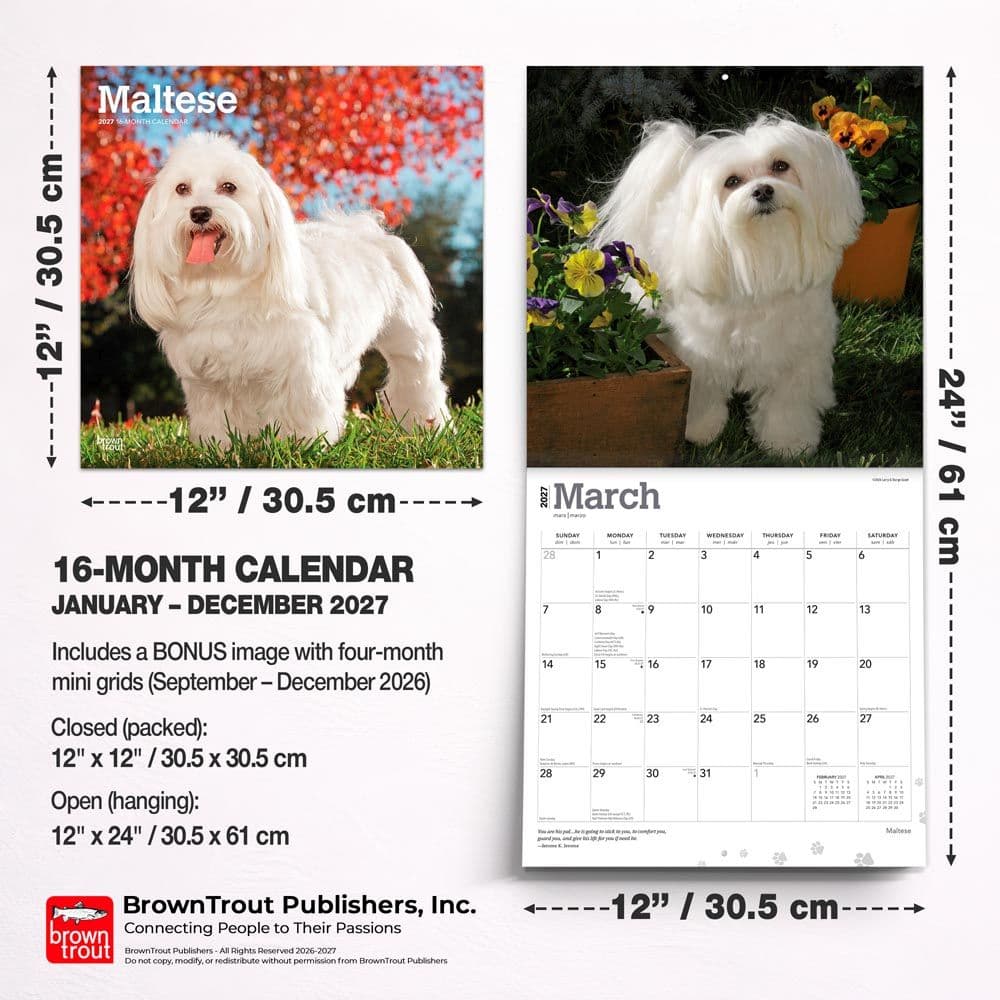 Maltese 2027 Wall Calendar Sixth Alternate Image