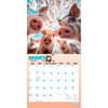 image Pigsty 2027 Wall Calendar Second Alternate Image