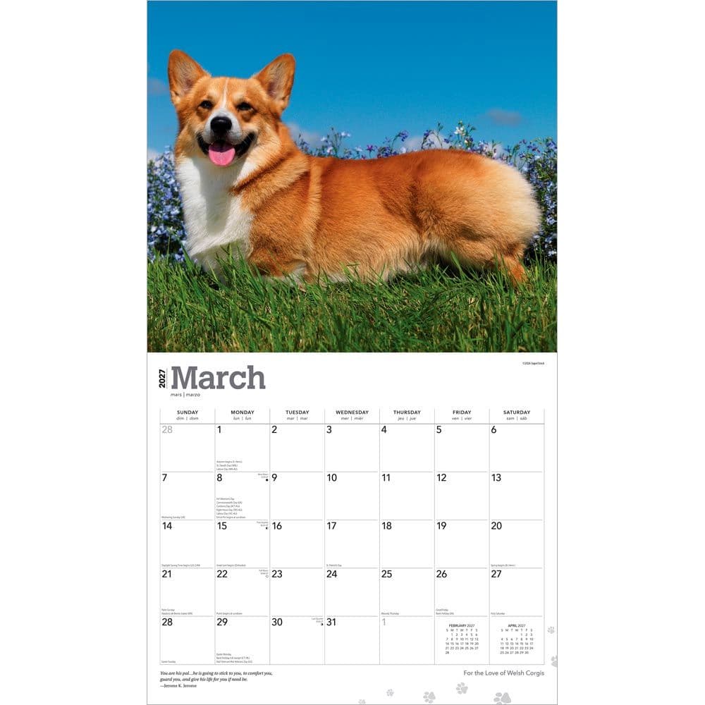 Welsh Corgis 2027 Deluxe Wall Calendar Second Alternate Image