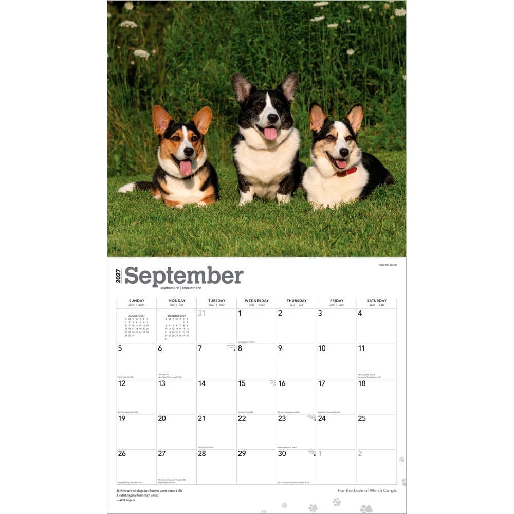 Welsh Corgis 2027 Deluxe Wall Calendar Third Alternate Image