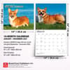 image Welsh Corgis 2027 Deluxe Wall Calendar Sixth Alternate Image