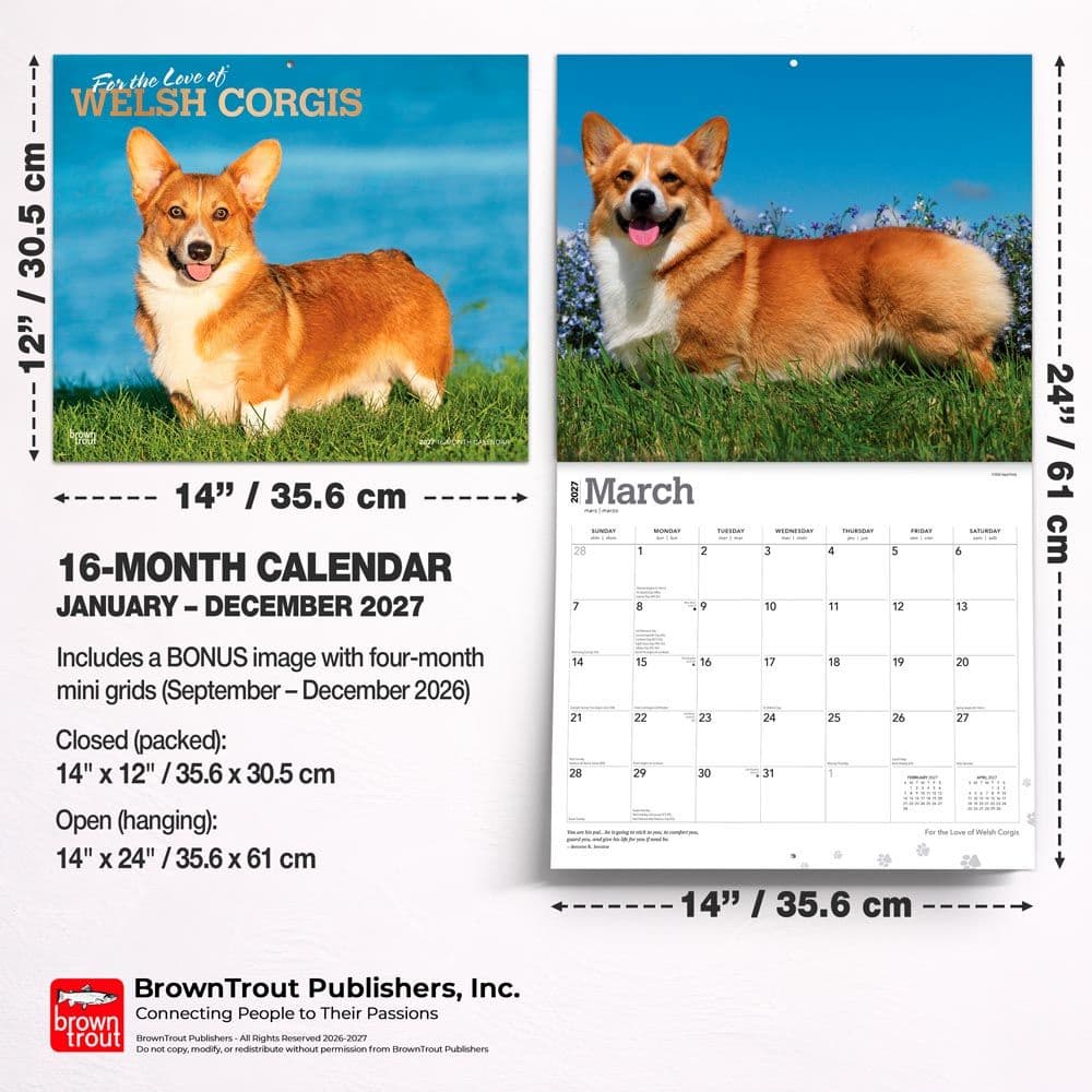 Welsh Corgis 2027 Deluxe Wall Calendar Sixth Alternate Image
