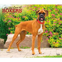 image Boxers 2027 Deluxe Wall Calendar Main Product Image