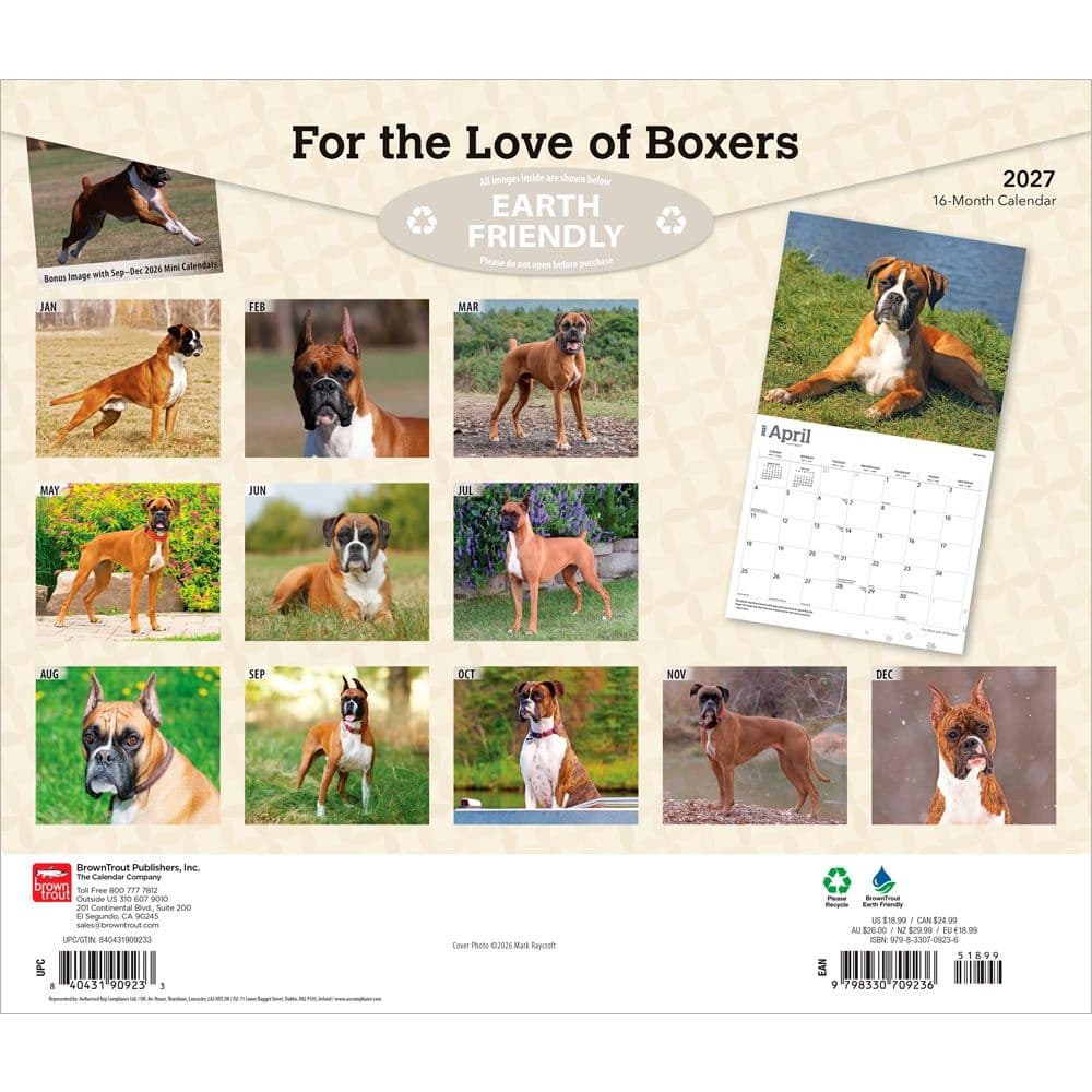 Boxers 2027 Deluxe Wall Calendar First Alternate Image