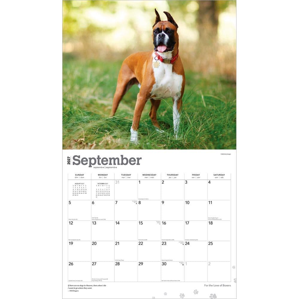 Boxers 2027 Deluxe Wall Calendar Third Alternate Image