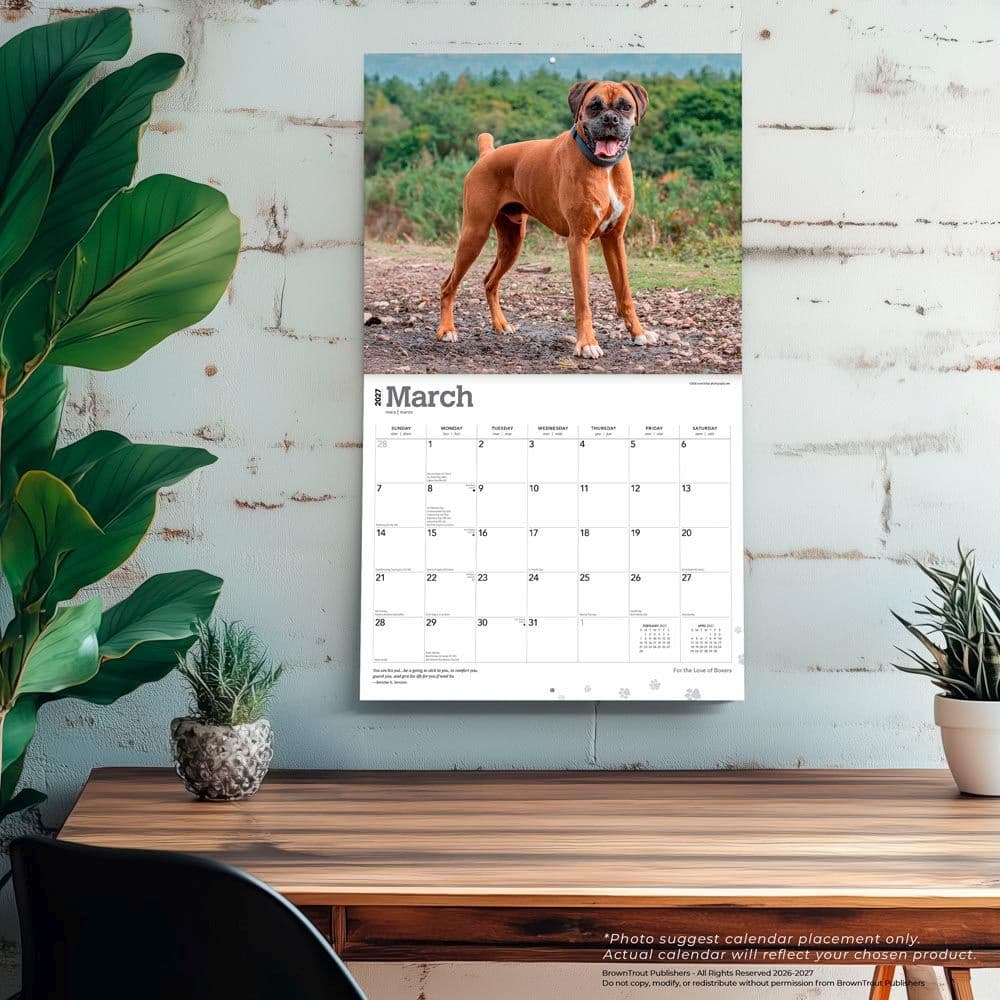 Boxers 2027 Deluxe Wall Calendar Fourth Alternate Image