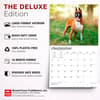 image Boxers 2027 Deluxe Wall Calendar Fifth Alternate Image