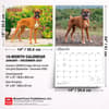 image Boxers 2027 Deluxe Wall Calendar Sixth Alternate Image