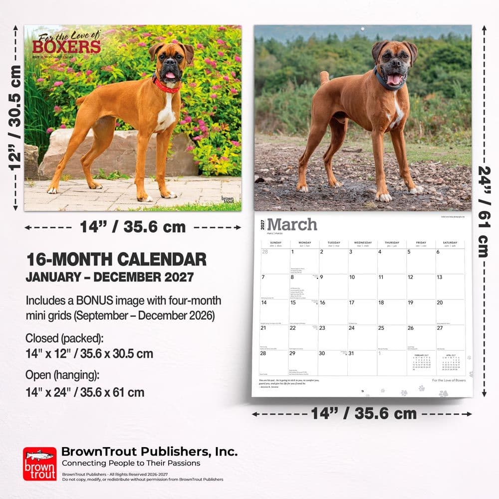 Boxers 2027 Deluxe Wall Calendar Sixth Alternate Image