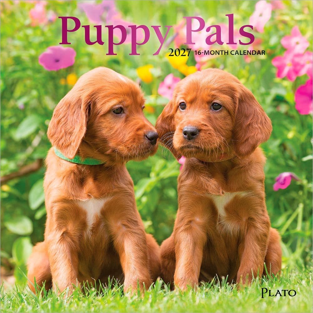 image Puppies For the Love 2027 Mini Wall Calendar Main Product Image