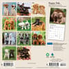 image Puppies For the Love 2027 Mini Wall Calendar First Alternate Image