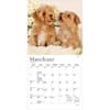 image Puppies For the Love 2027 Mini Wall Calendar Second Alternate Image