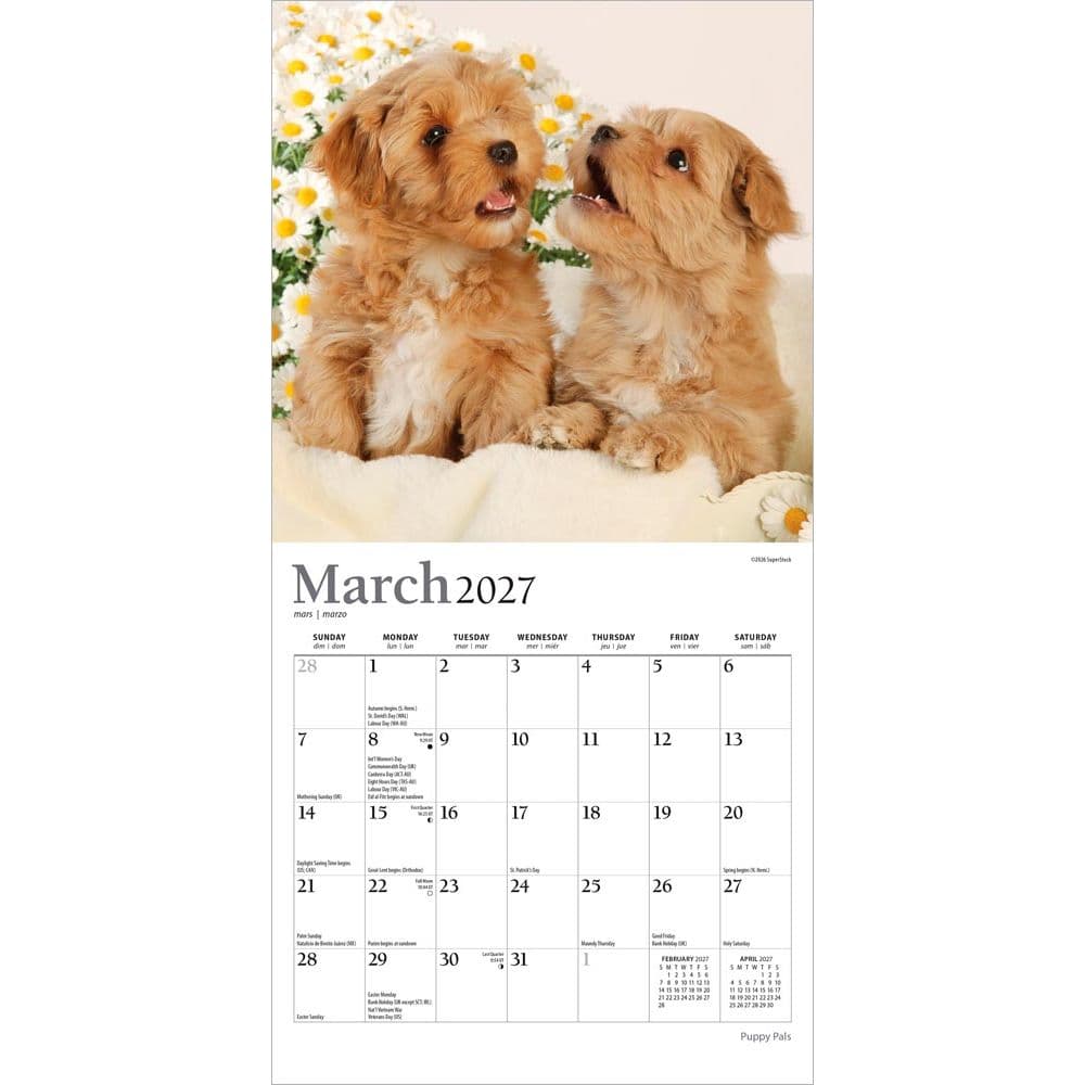 Puppies For the Love 2027 Mini Wall Calendar Second Alternate Image