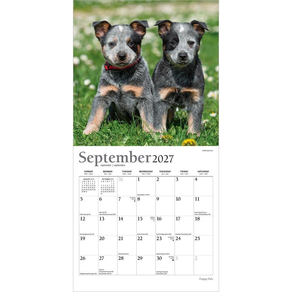 Puppies For the Love 2027 Mini Wall Calendar Third Alternate Image