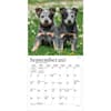 image Puppies For the Love 2027 Mini Wall Calendar Third Alternate Image